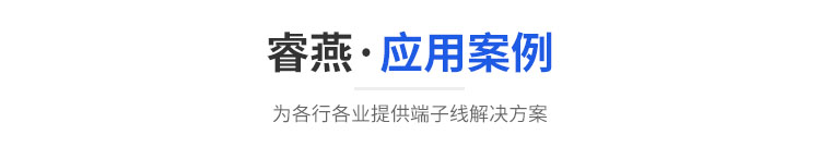应用案例